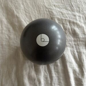 B THE METHOD 1 LB Weighted Pilates Ball